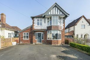 Photo 55- click for photo gallery